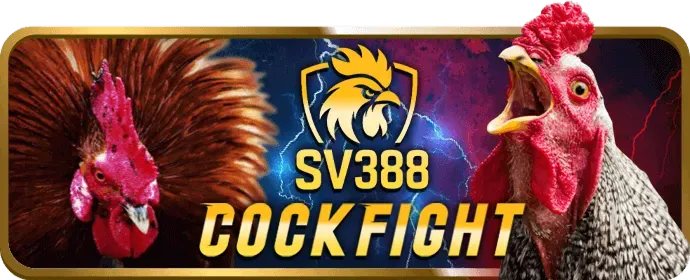 Ưu đãi chào mừng PK14